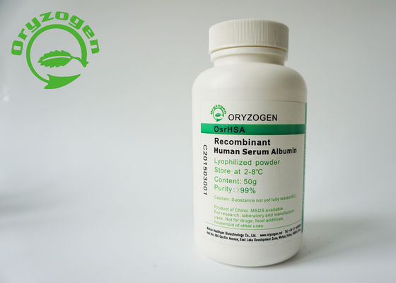 Oryza Sativa Recombinant HSA Expressed From Rice Endosperm Specific Platform