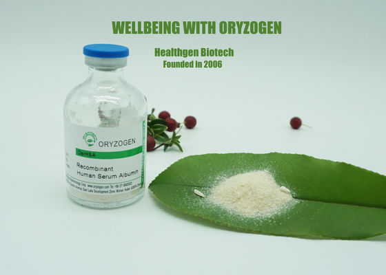 Lyophilized Powder Human Serum Albumin Whiten Skin Non - Animal Component