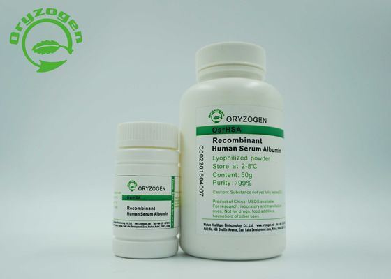 Greater Than 99% Purity Recombinant HSA rHSA Stabilizer Without Animal Components