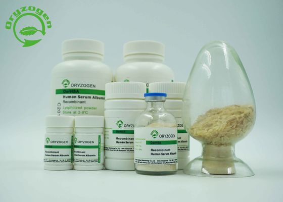White to Light Beige Lyophilized Powder Recombinant HSA ISO Certificated