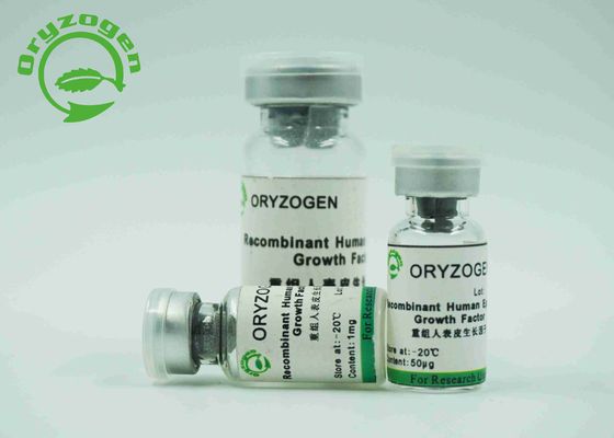 EGF Epidermal Growth Factor White Lyophilized Powder With Endotoxin Less Than 1.0 EU / mg