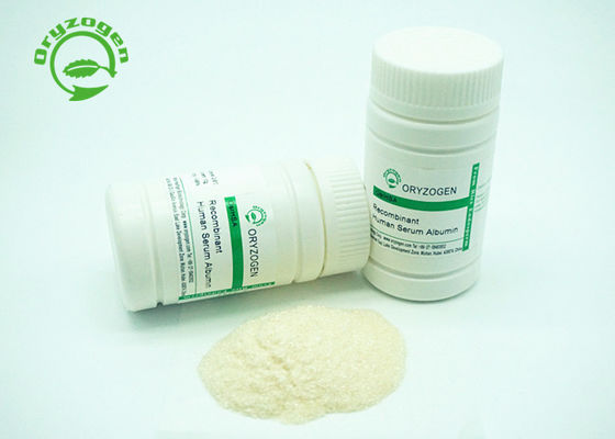 Excellent Batch Consistency HSA Recombinant Human Protein Powder