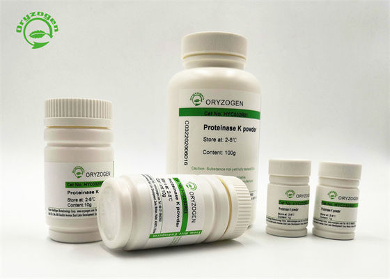 Oryzogen 29kDa Proteinase K Recombinant PCR Grade Lyophilized Powder From Pichia Pastoris