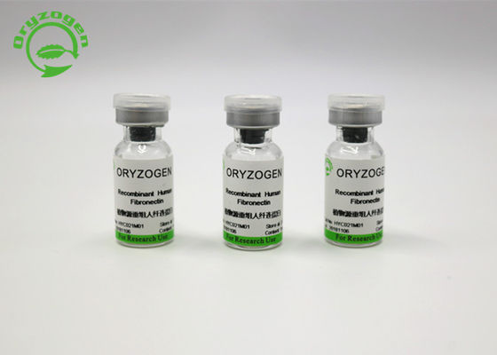 Animal Component Free High Purity Recombinant Fibronectin FN From Oryza Sativa