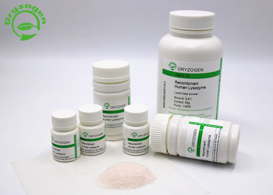 Oryzogen Recombinant Lysozyme Powder From Rice Platform Bulk Supply CAS No 9001-63-2