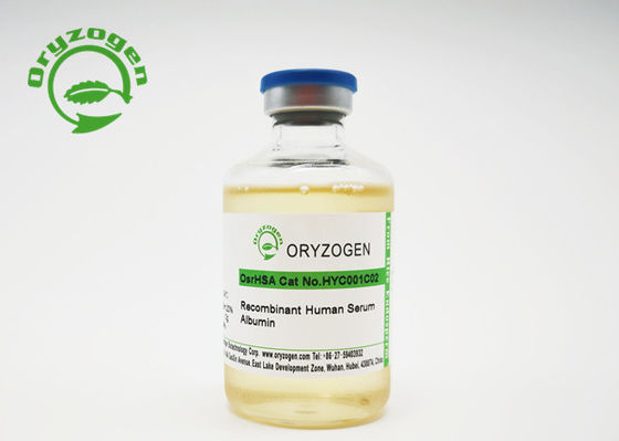 Excipient Grade Recombinant Human Serum Albumin Xeno Free