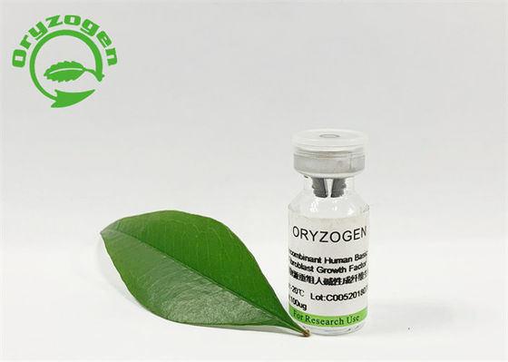 Tasteless 95% Purity Oryza Sativa Basic FGF Lyophilized Powder