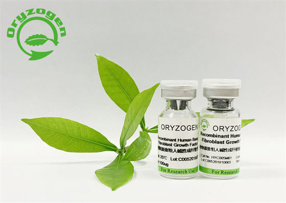 Plant Derived Human Fibroblast Growth Factor ISO9001 Approved