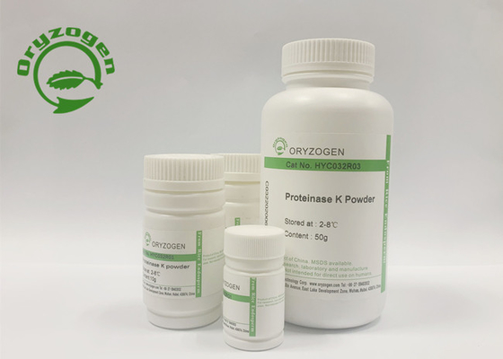 Lyophilized Powder Recombinant Proteinase K For In Situ Hybridization