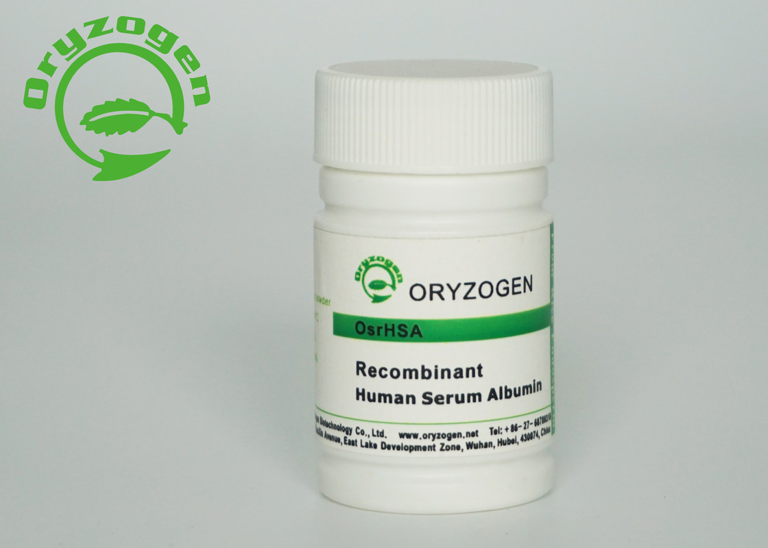 Freeze Dried Powder Human Serum Albumin Cell Culture HSA No Animal Origin