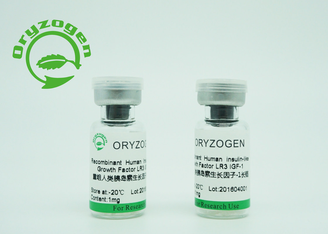 Yeast Origin Recombinant IGF 1 Long R3 Lyophilized Greater Than 90 