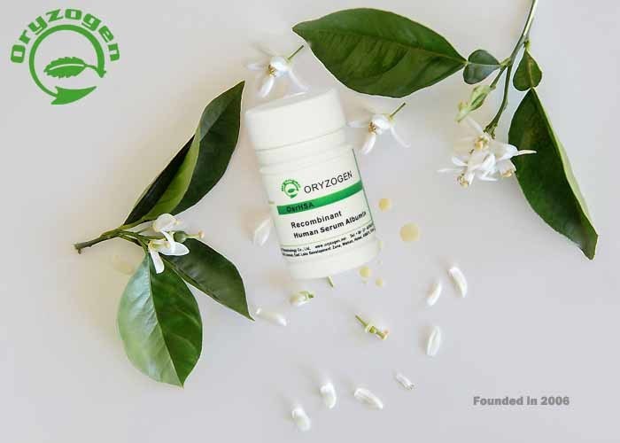 ISO Certificated Human Serum Albumin HSA for Cell Culture