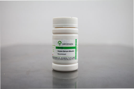White to Light Beige Recombinant HSA M/P 65℃ Animal Free Component