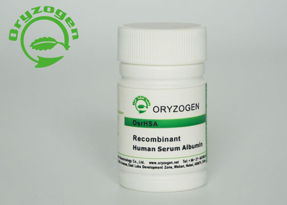 White to Light Beige Recombinant HSA M/P 65℃ Animal Free Component