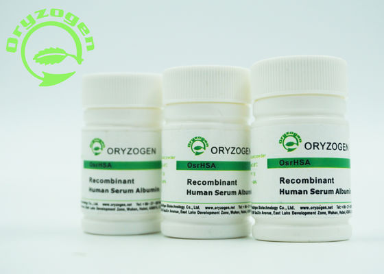 White to Light Beige Lyophilized Powder Recombinant HSA ISO Certificated