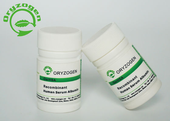 M/P 65℃ Oryza Sativa Recombinant HSA Powder 99% Purity 66.5kD Molecular Weight