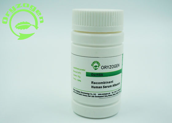 Research Recombinant Human Serum Albumin HSA Powder Industrial Biological Reagents