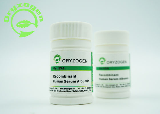 Greater Than 99% Purity Recombinant HSA rHSA Stabilizer Without Animal Components