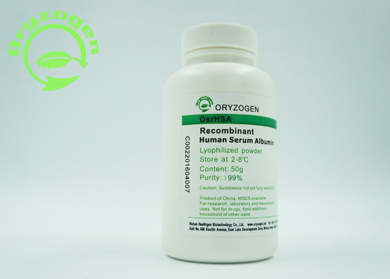 CAS 70024-90-7 Recombinant Human Albumin HSA With Less Than 0.125EU/Mg Endotoxin