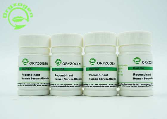 Oryza Sativa Recombinant HSA Freeze - Dried Powder 66.554KD Molecular Mass Human Albumin Protein