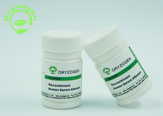 Excipient Grade Animal Free Recombinant Human Serum Albumin rHSA For Vaccine Research Excipient