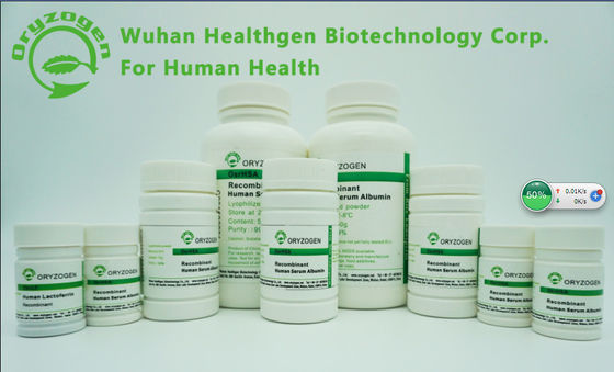 ISO Recombinant Albumin RHSA Non - Animal Component Extracted From Plant