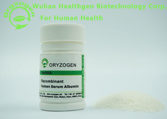 High Purity Oryzogen Human Serum Albumin HSA Cell Culture 66.5KD Molecular Weight