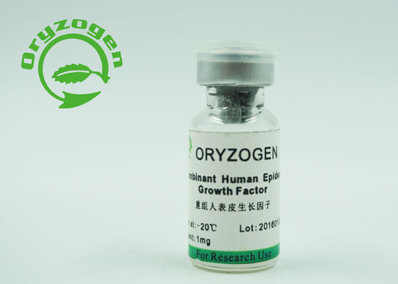 Yeast Expressed Recombinant Human EGF Without Any Contaminants Risk