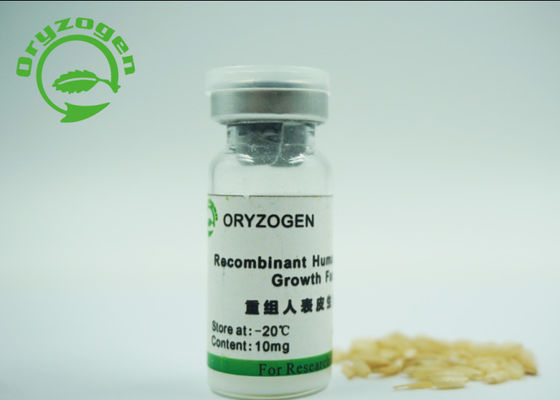 Low Endotoxin Recombinant Human Epidermal Growth Factor White Loose Body