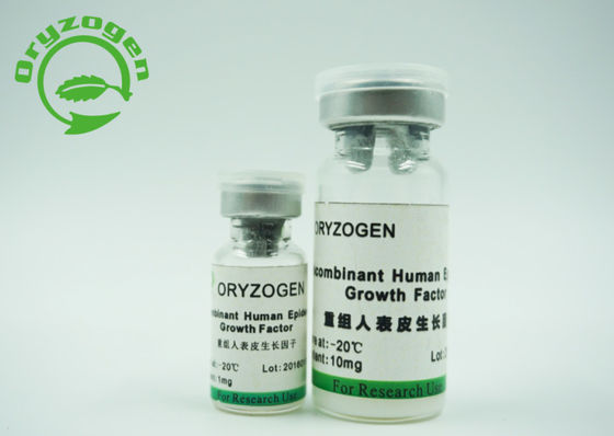 Yeast Origin rhEGF Epidermal Growth Factor PH 6.5-7.5 Non - Animal Component