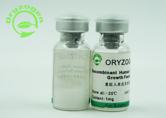 EGF Epidermal Growth Factor White Lyophilized Powder With Endotoxin Less Than 1.0 EU / mg
