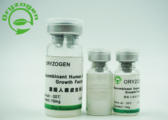 Yeast Derived EGF Epidermal Growth Factor Skin Care -20℃ Temperature Stored