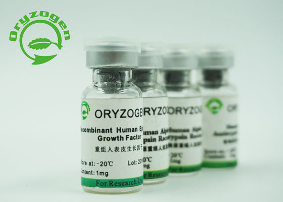 98% Purity Recombinant EGF Lyophilized Powder White 6.3Kd Molecular Weight