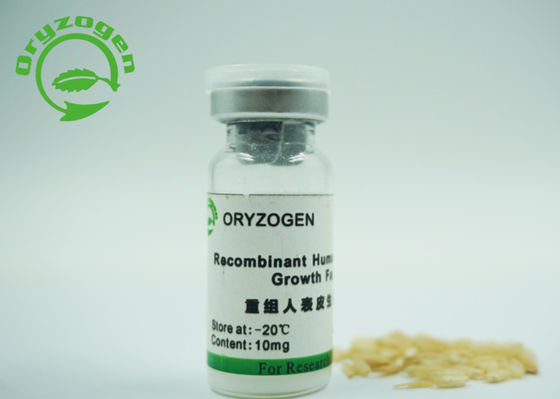 53 Amino Acids 6.3kD Recombinant Epidermal Growth Factor EGF Growth Factor Lyophilized With Mannitol Stabilizer