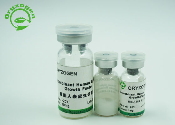 Freeze Dried Protein Epidermal Growth Factor Egf For Skin Cosmetics 1Ng / ML ED50
