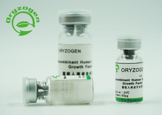 High Bioactivity Human Recombinant Epidermal Growth Factor EFG 98% Purity For Skin Renew / Repair