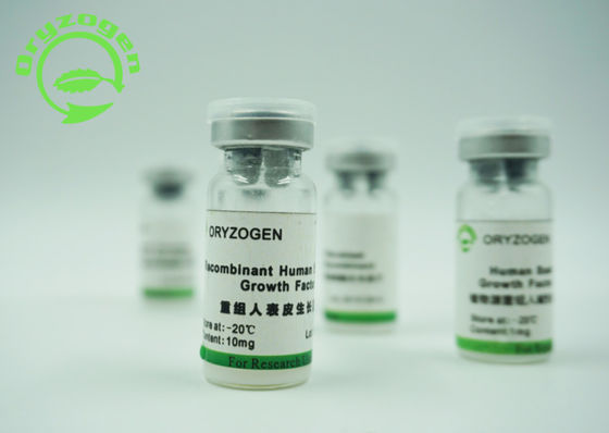 High Bioactivity Recombinant Human Epidermal Growth Factor EGF Growth Factor 98% Purity SDS-PAGE Determined