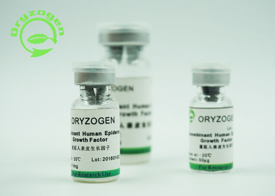 Recombinant Human Epidermal Growth Factor 1 × 10^6 Unitis / Mg Bioactivity By Balb/C 3T3 Cell Assay