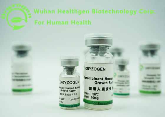 High Purity Recombinant EGF Factor Non - Animal Component For Xeno - Free Medium