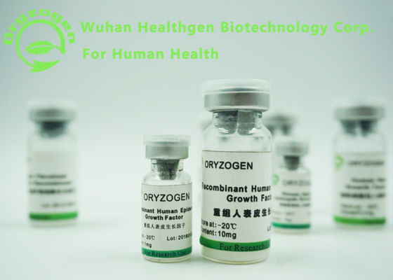 Yeast Derived Recombinant Epidermal Growth Factor 6.3KD Human EGF For Serum - Free Medium