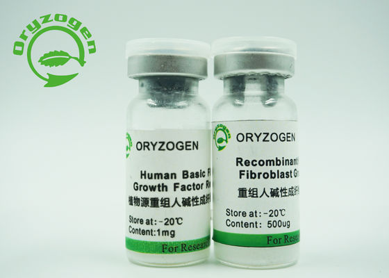 Xeno - Free Medium Ingredients bFGF Growth Factor Molecular Weight 17KD Animal Component Free