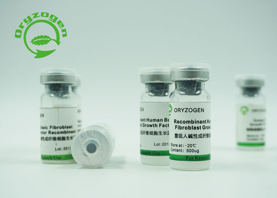 Recombinant Protein bFGF Factor Oryza Sativa Extracted -20℃ Storaged
