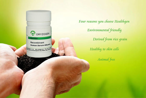 Animal Free Albumin Skin Care 99% Purity With Low Endotoxin Less Than 0.125EU/mg