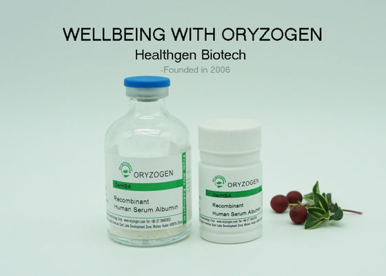 Albumin Skin Care Recombinant Human Protein CAS 70024-90-7 For Smooth Skin Wrinkle