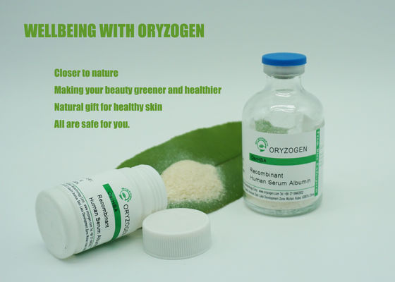 M/P 65℃ PI4.8 Albumin Skin Care Freeze Dried Powder For Anti - Wrinkling Cosmetics