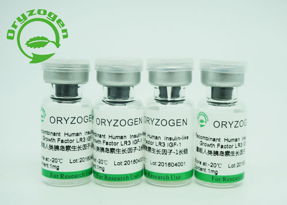 Greater Than 90% Purity Recombinant IGF 1 Long R3 Growth Factor Promoting Cell Growth
