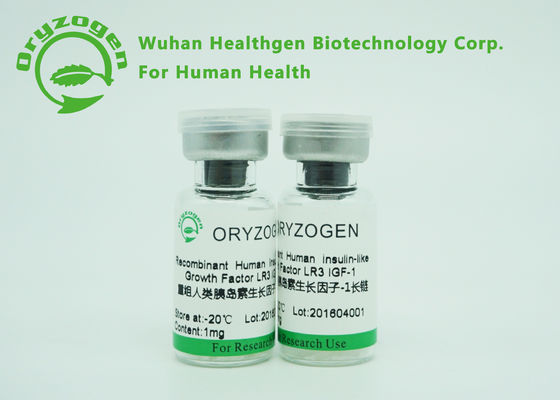 Greater Than 90% Purity Recombinant IGF 1 Long R3 Growth Factor Promoting Cell Growth