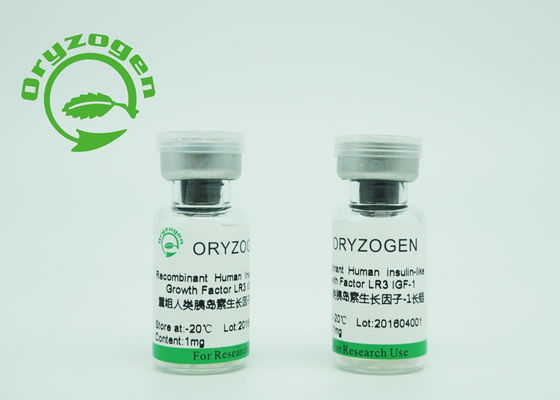 Yeast Origin Recombinant IGF 1 Long R3 Lyophilized Greater Than 90% Purity For Serum - Free Medium