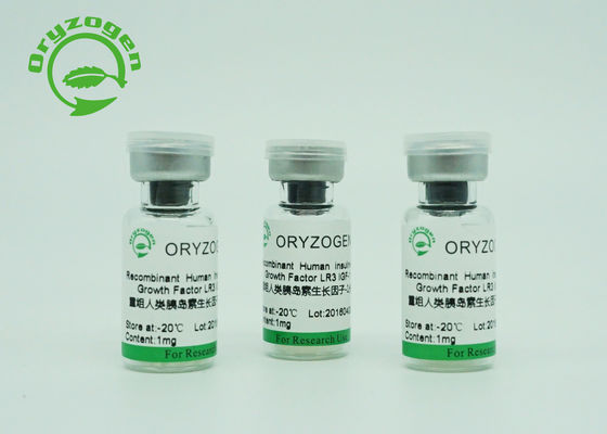 Greater Than 90% Purity Stable Recombinant IGF 1 Long R3 1 X10^6 Units / Mg Bioactivity