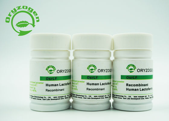 80KD Recombinant Human Protein Lactoferrin No Animal Component For Cosmetics
